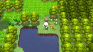 Route 229 Protéine DEPS.png