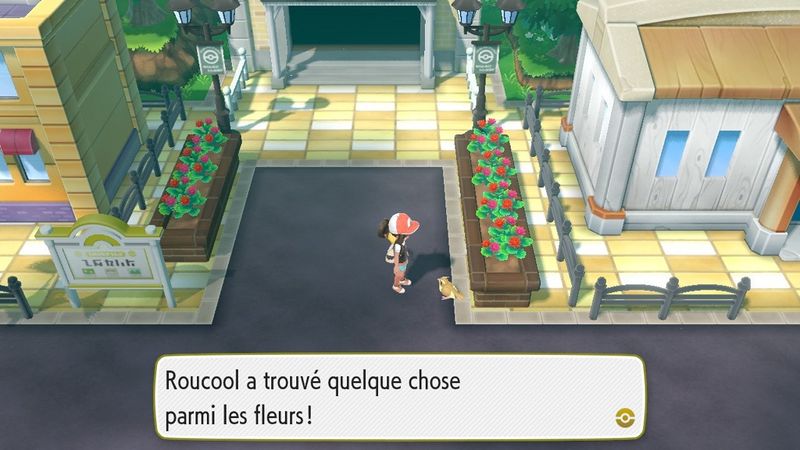 Fichier:Safrania Jolie Aile LGPE.jpg