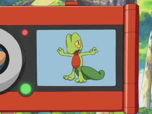 AG007 - Arcko Pokédex.png