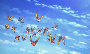 Braisillon sauvages - Film 17 Intro.png