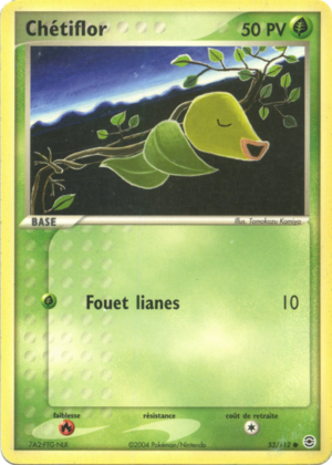 Carte EX Rouge Feu & Vert Feuille 53.png