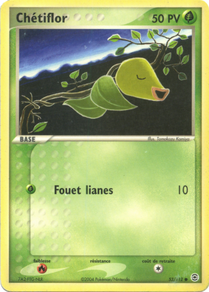 Fichier:Carte EX Rouge Feu & Vert Feuille 53.png