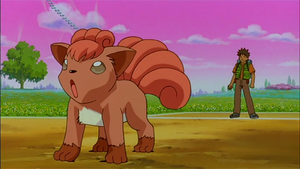 Film 03 - Goupix de Pierre.png