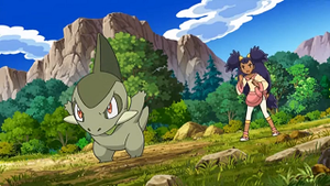 NB033 - Coupenotte d'Iris.png