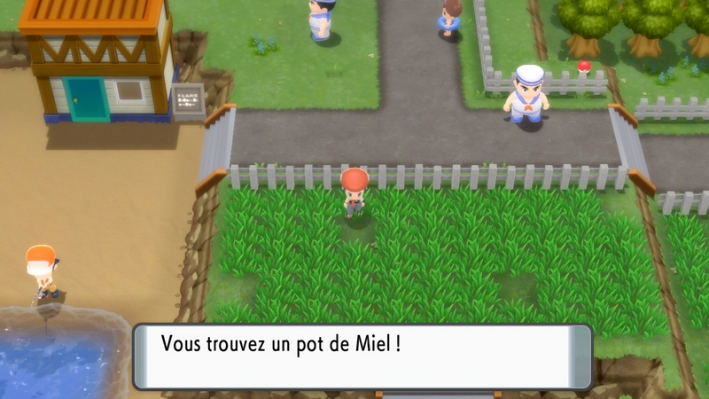 Fichier:Route 222 Miel 2 DEPS.png