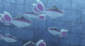 Écayon sauvages - Film 10.png