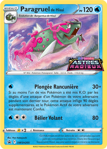 Fichier:Carte Promo SWSH SWSH205.png
