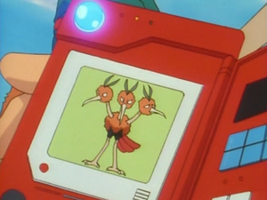 EP033 - Dodrio Pokédex.png