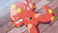 Octillery (d'un Dresseur)