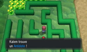 Route 4 Antidote XY.png