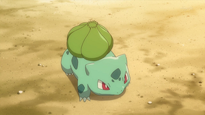 XY042 - Bulbizarre de Sannah.png
