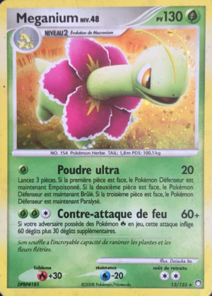 Carte Diamant & Perle Trésors Mystérieux 13.png