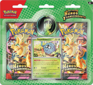 Collection Méga-Évolution Héros Transcendants Erika.png