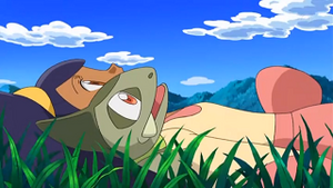 NB018 - Coupenotte d'Iris.png