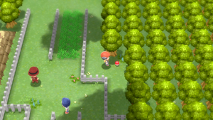 Route 214 Déf. Spé. + DEPS.png