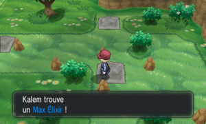 Route 22 Max Élixir XY.png