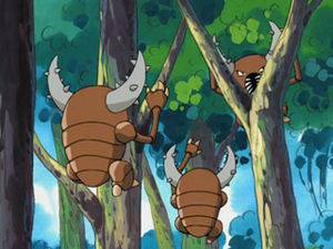 AG005 - Scarabrute.png