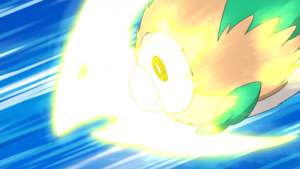 Brindibou Picpic.png