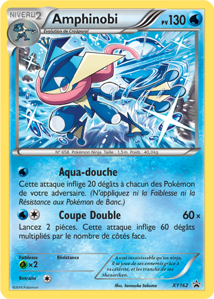 Fichier:Carte Promo XY XY162.png