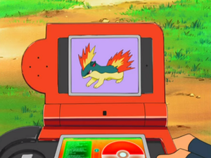 DP029 - Feurisson Pokédex.png