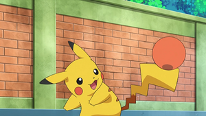 NB095 - Pikachu de Sacha.png