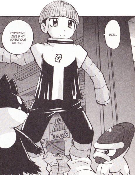Fichier:PMS407.png