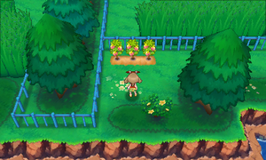 Route 121 Baie Nanab ROSA.png