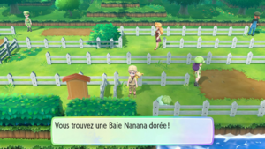 Route 13 Baie Nanana dorée LGPE.png