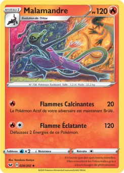 Malamandre (Épée et Bouclier 028)