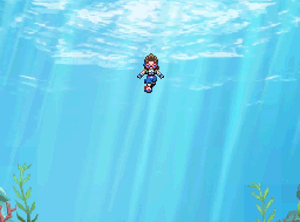 Mer occidentale.png
