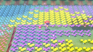 Pré de Floraville Graine Miracle DEPS.png