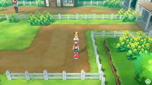 Route 16 Super Potion LGPE.png