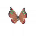 Prismillon Motif Archipel