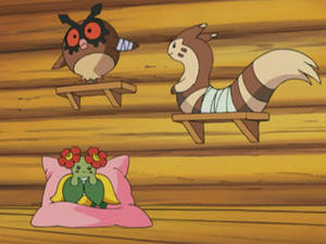 AG011 - Joliflor, Hoothoot et Fouinar.png