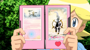 Arceus Film 18 Livre.png