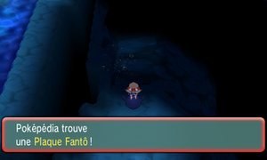 Chenal 127 Plaque Fantô ROSA.png