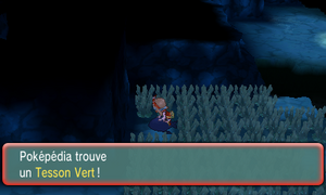 Chenal 130 Tesson Vert ROSA.png