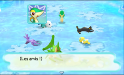 Tous les Pokémon s'effondrent devant les yeux du joueur.