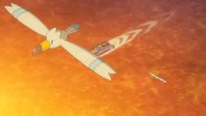 SL072 - Goélise.png