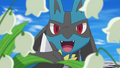 Lucario (de Cornélia)