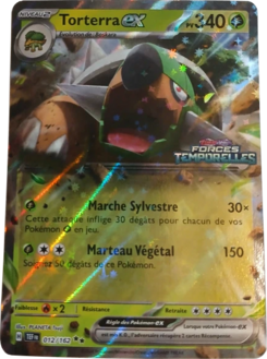 Torterra-ex (Écarlate et Violet Forces Temporelles 012)