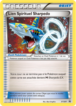 Carte Promo XY XY201.png