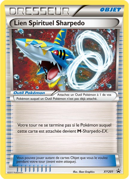 Fichier:Carte Promo XY XY201.png