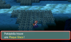 Chenal 130 Plaque Glace ROSA.png