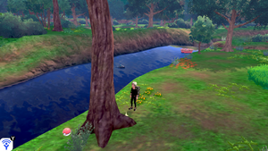 Forêt Flexion Objet Caché 12 EB.png