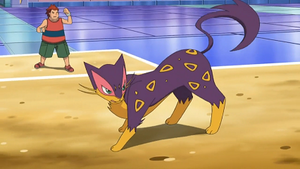 NB106 - Léopardus de Jules.png