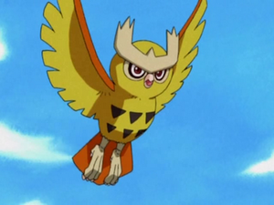 Noarfang Sacha.png