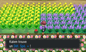 Route 7 Déf. Spé. + XY.png