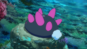 SL056 - Concombaffe.png