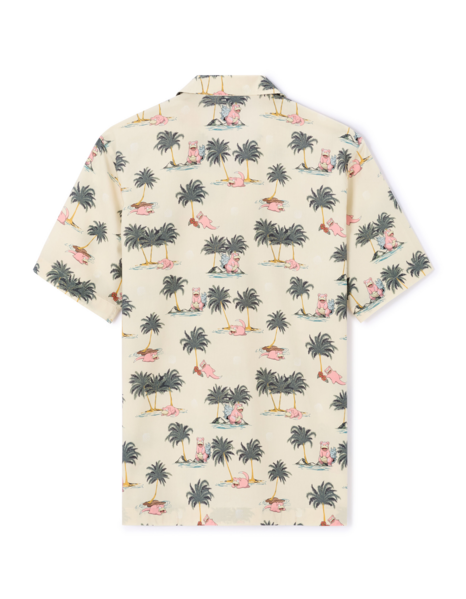 Fichier:Celio chemise beige Ramoloss arrière.png